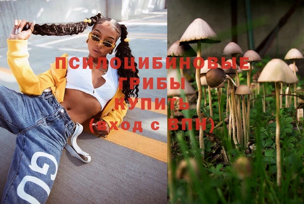 стаф Балахна