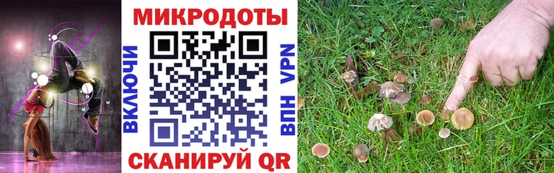 Псилоцибиновые грибы Cubensis  МЕГА ONION  Трубчевск 
